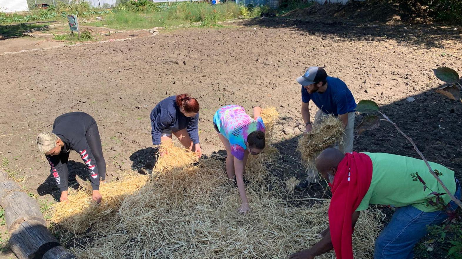 Students mulch in a community garden